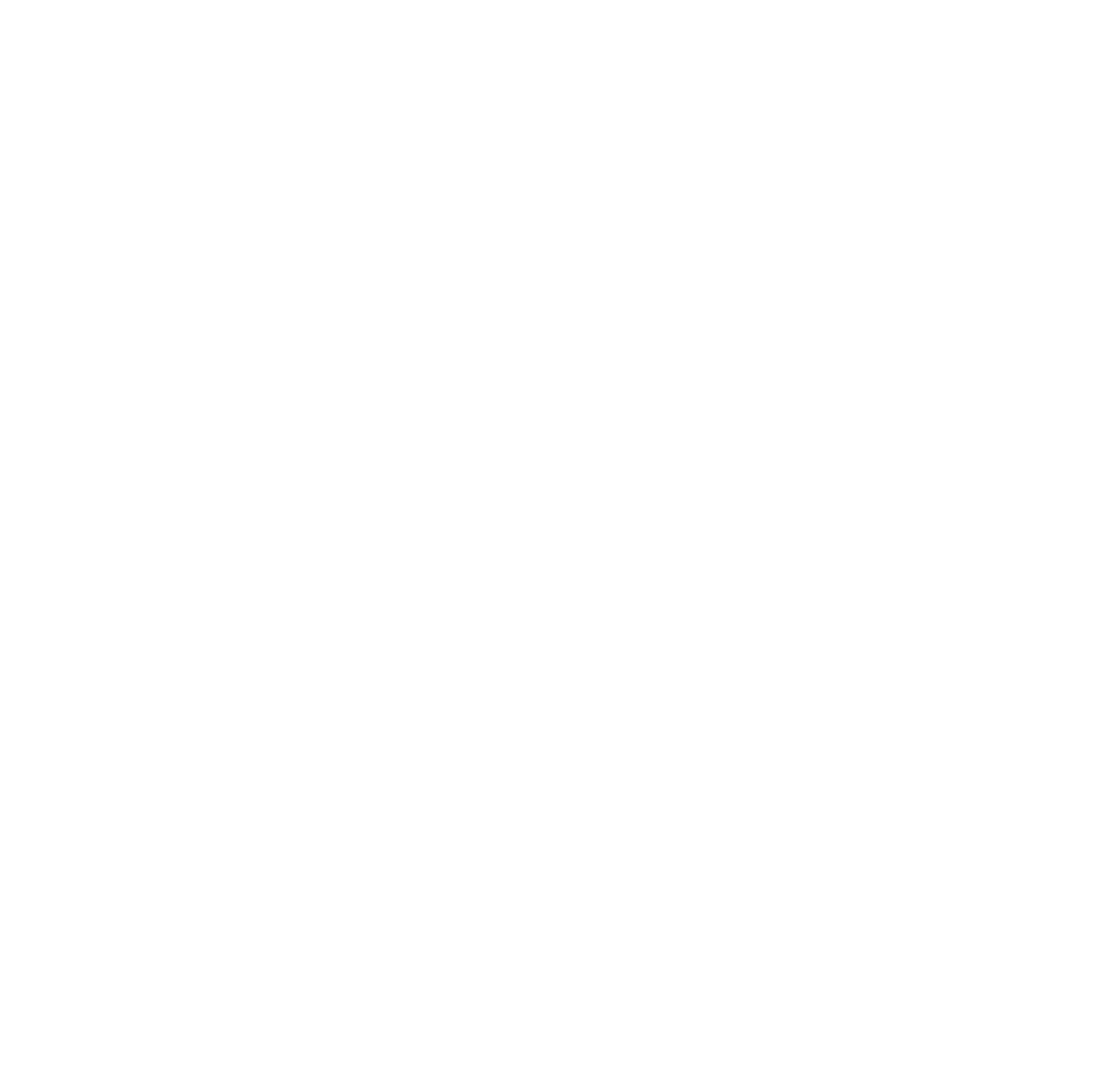 ecommerce icon